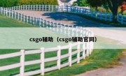 csgo辅助（csgo辅助官网） 