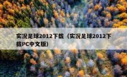 实况足球2012下载（实况足球2012下载PC中文版） 