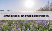 切尔西那不勒斯（切尔西那不勒斯欧冠阵容） 
