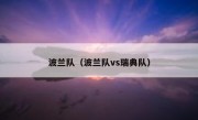 波兰队（波兰队vs瑞典队） 