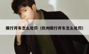 限行开车怎么处罚（杭州限行开车怎么处罚） 