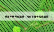 只用车牌号查违章（只有车牌号能查违章） 