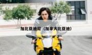 加比亚迪尼（加拿大比亚迪） 