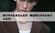 限行开车出来怎么处罚（要是限行开车会有什么处罚） 