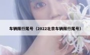 车辆限行尾号（2022北京车辆限行尾号） 