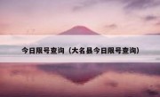 今日限号查询（大名县今日限号查询） 