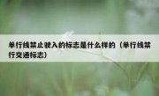 单行线禁止驶入的标志是什么样的（单行线禁行交通标志）