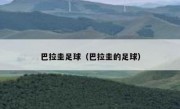 巴拉圭足球（巴拉圭的足球） 