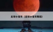 足球小宝贝（足球小宝贝舞蹈） 