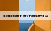 车号查询车辆车主（车号查询车辆车主电话） 