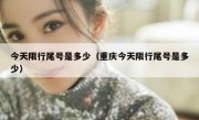 今天限行尾号是多少（重庆今天限行尾号是多少） 