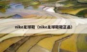 nike足球鞋（nike足球鞋鞋正品） 