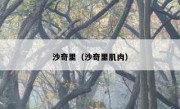 沙奇里（沙奇里肌肉） 