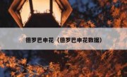 德罗巴申花（德罗巴申花数据） 