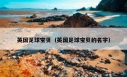 英国足球宝贝（英国足球宝贝的名字） 