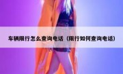 车辆限行怎么查询电话（限行如何查询电话）