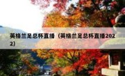 英格兰足总杯直播（英格兰足总杯直播2022） 