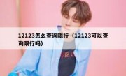 12123怎么查询限行（12123可以查询限行吗） 