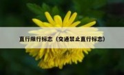 直行限行标志（交通禁止直行标志）