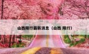 山西限行最新消息（山西 限行）
