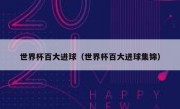 世界杯百大进球（世界杯百大进球集锦） 