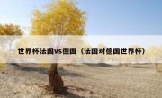 世界杯法国vs德国（法国对德国世界杯） 