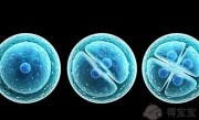 杭州红会医院试管婴儿成功率是多少？一次试管能够成功吗？