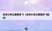足球小将之展翅高飞（足球小将之展翅高飞起点） 