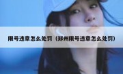 限号违章怎么处罚（郑州限号违章怎么处罚） 