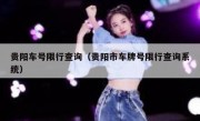 贵阳车号限行查询（贵阳市车牌号限行查询系统）
