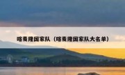 喀麦隆国家队（喀麦隆国家队大名单） 