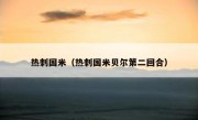 热刺国米（热刺国米贝尔第二回合） 