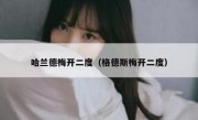 哈兰德梅开二度（格德斯梅开二度） 