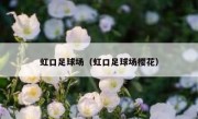 虹口足球场（虹口足球场樱花） 
