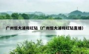 广州恒大浦和红钻（广州恒大浦和红钻直播） 