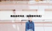 弗格森吹风机（曼格斯吹风机） 
