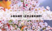小客车调控（北京小客车调控） 