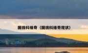 图拔科维奇（图拔科维奇现状） 