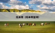 托米奇（托米奇篮球） 