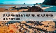 欧文离开利物浦去了哪支球队（欧文离开利物浦去了哪个球队） 