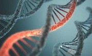 2022最新杭州私立供卵机构排名出炉，附供卵生男孩最新收费标准