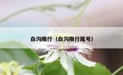 白沟限行（白沟限行尾号） 