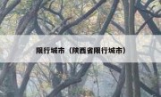 限行城市（陕西省限行城市） 