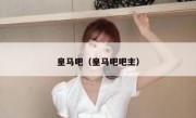 皇马吧（皇马吧吧主） 