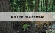 国足卡塔尔（国足卡塔尔多哈） 