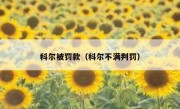 科尔被罚款（科尔不满判罚） 