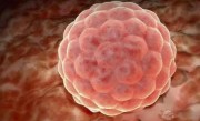 女性闭经可以做试管吗？可以，2022专家讲解闭经怎么做试管