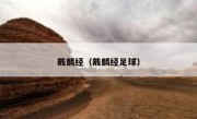 戴麟经（戴麟经足球） 
