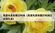 天津大货车限行时间（天津大货车限行时间几点到几点） 