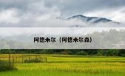 阿德米尔（阿德米尔森） 